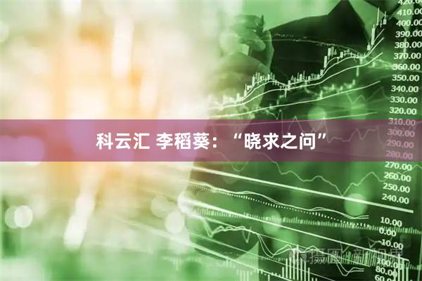 科云汇 李稻葵:“晓求之问”
