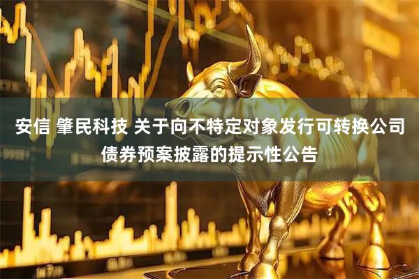 安信 肇民科技 关于向不特定对象发行可转换公司债券预案披露的提示性公告