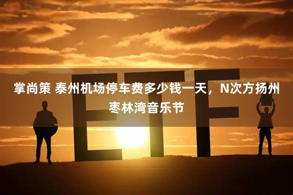 掌尚策 泰州机场停车费多少钱一天，N次方扬州枣林湾音乐节